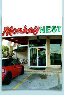Monkey Nest
